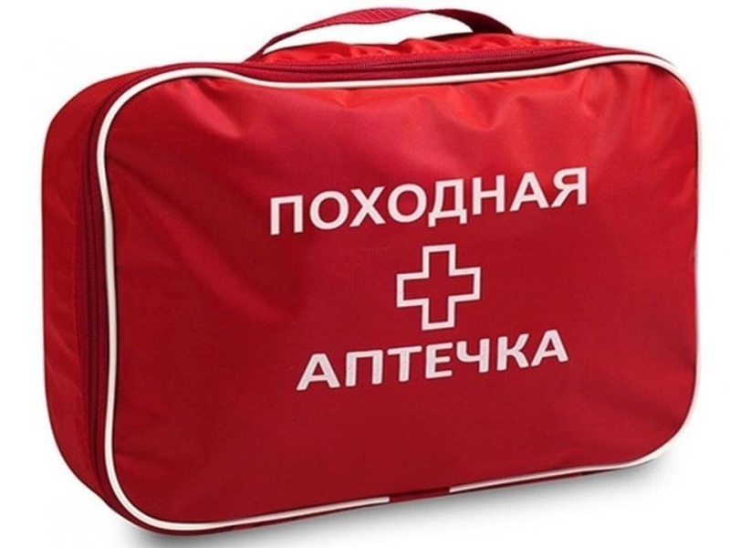аптечка для питомца в путешествие и на дачу