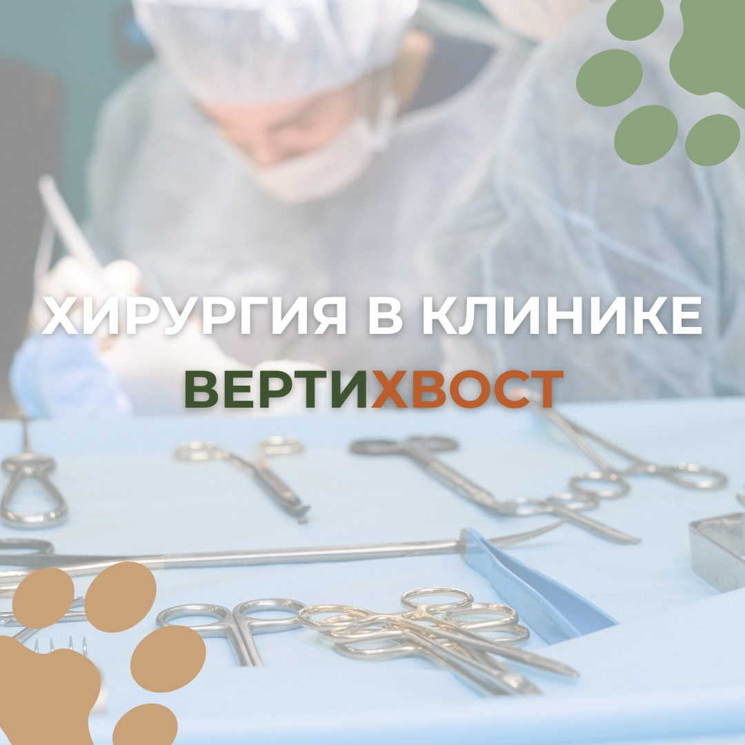 хирургия в клинике