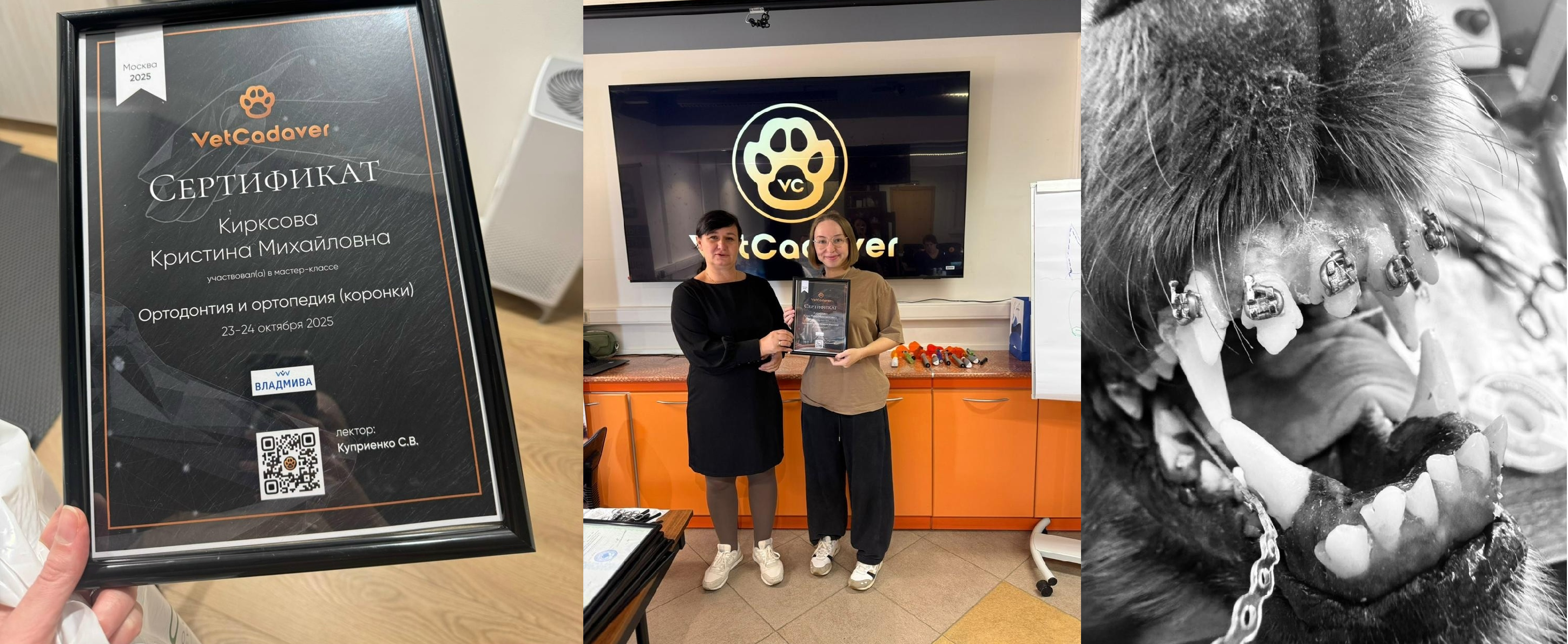 ортодонтия в Туле